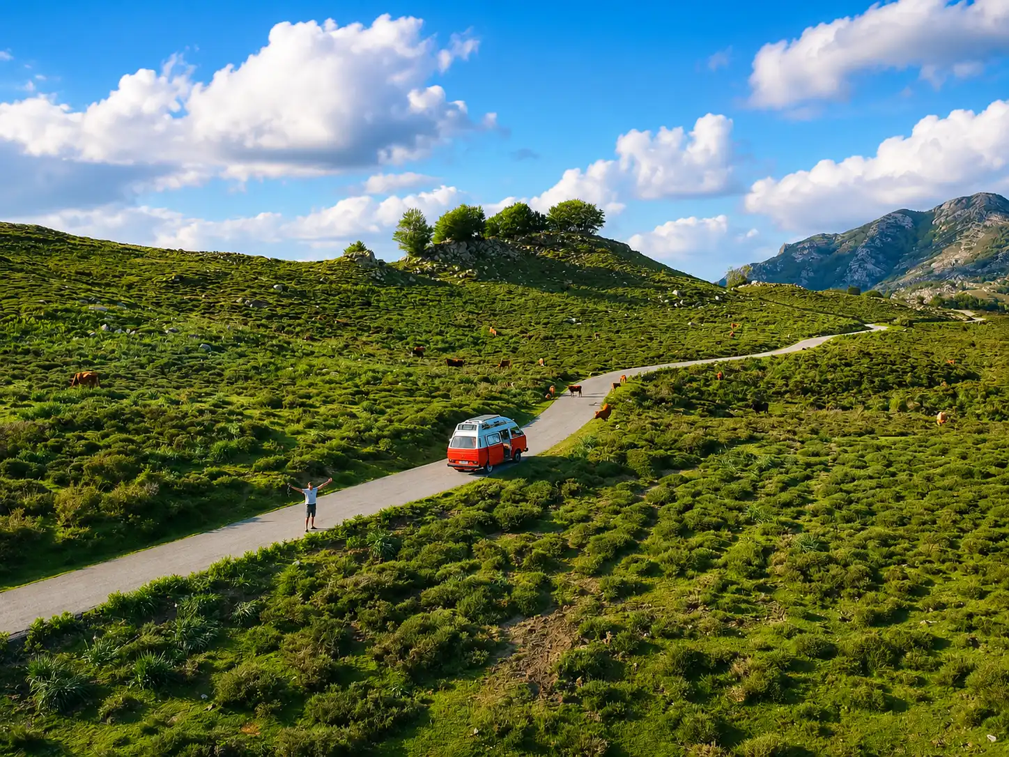 Combi Volkswagen vintage sur une route de montagne en Corse